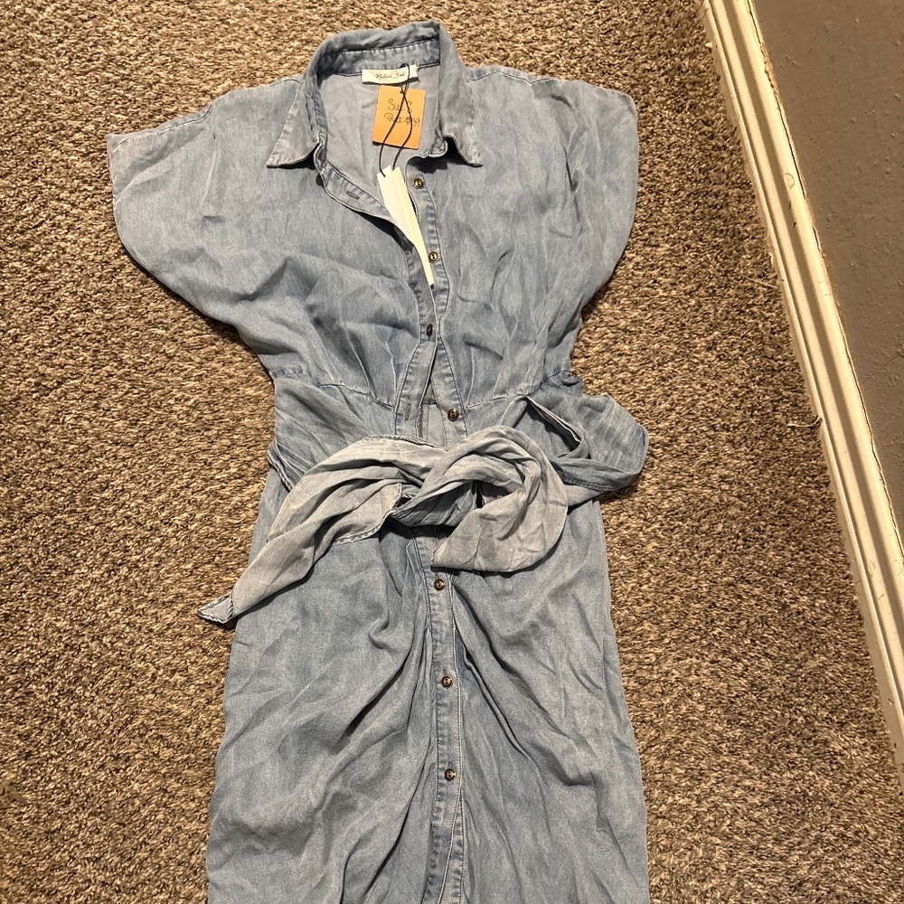 Mustard Seed Denim button down dress